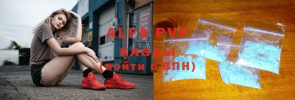 шишки Алзамай