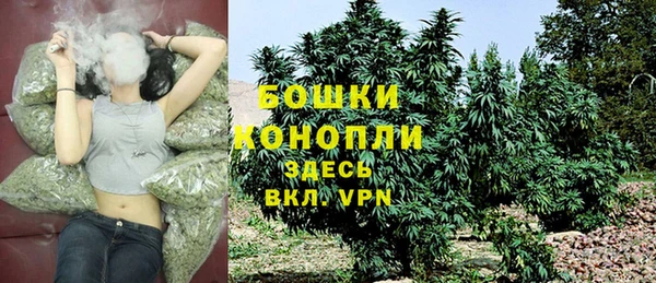 шишки Алзамай