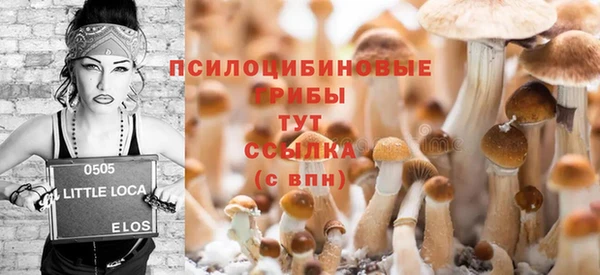 не бодяженный Аркадак