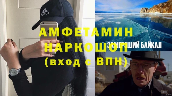шишки Алзамай