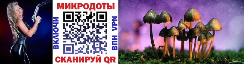 Псилоцибиновые грибы Psilocybe  цены   Суровикино 